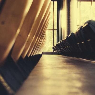 Bánh Ngọt Handmade Bi