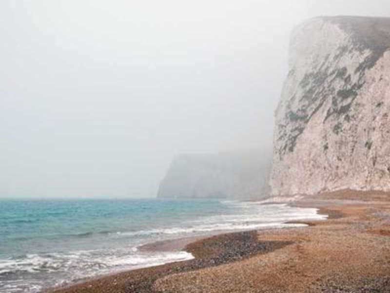 Tôm sú biển Vũng Tàu