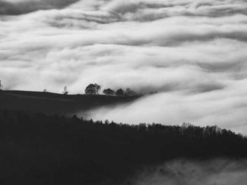 Cá chép tươi sống