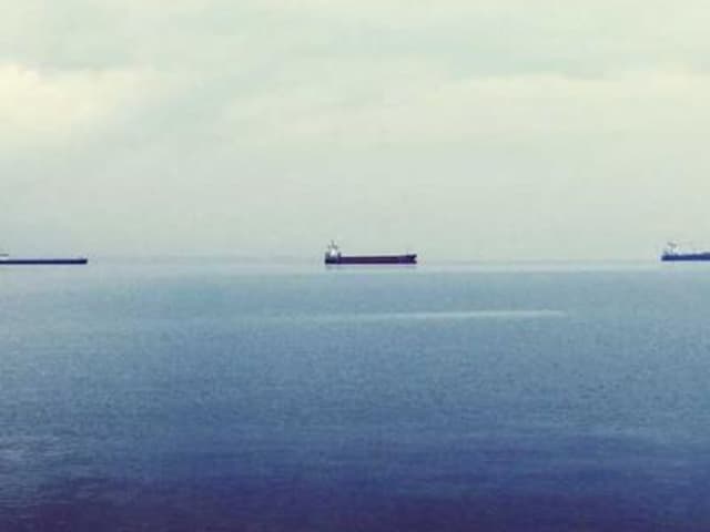 Set rau củ gia đình 7 loại