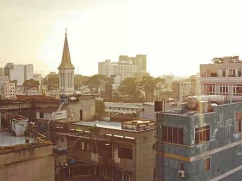 Xoài cát Hòa Lộc 🥭 loại 1