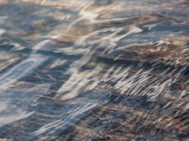 Cam sành Vĩnh Long