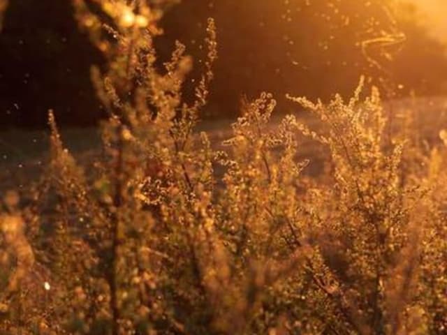 Combo trái cây gia đình 5kg