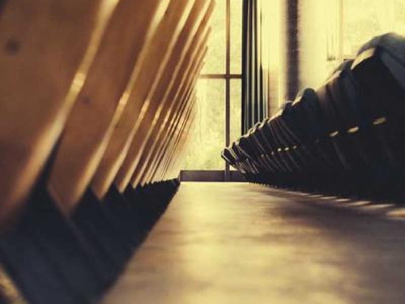 Sầu riêng Ri6 (đặt trước)