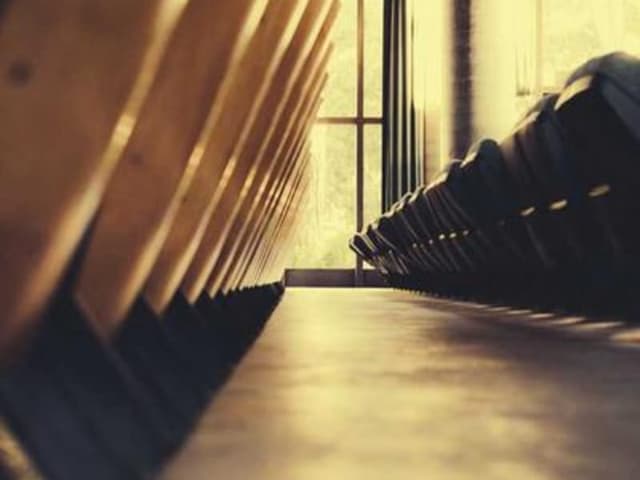 Sầu riêng Ri6 (đặt trước)