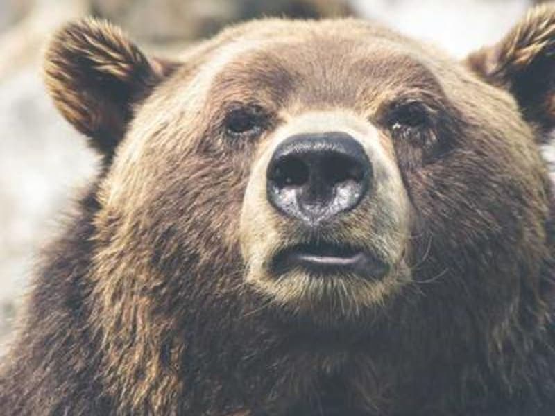 Chả bò Đà Nẵng