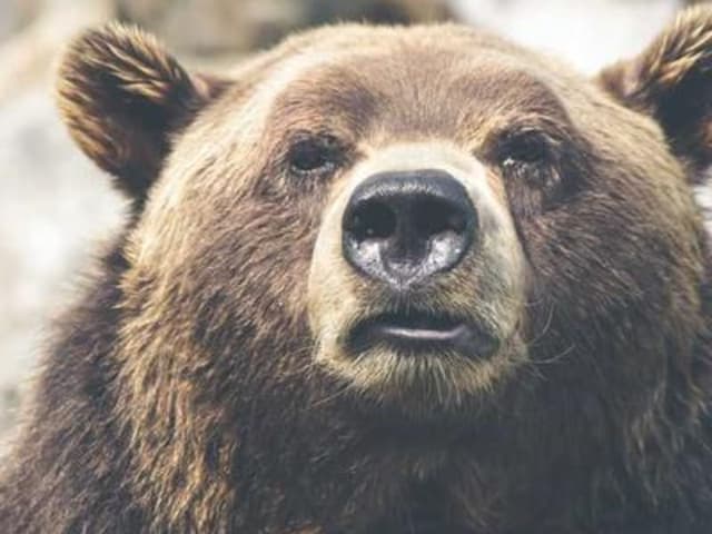 Chả bò Đà Nẵng