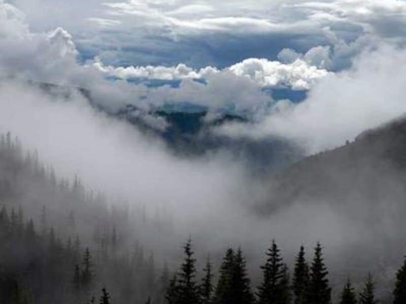 Macaron hộp 12 cái