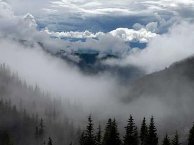 Macaron hộp 12 cái