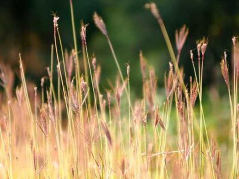 Xô nhựa 20L có nắp