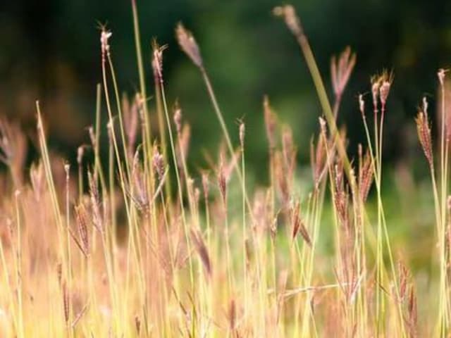 Xô nhựa 20L có nắp