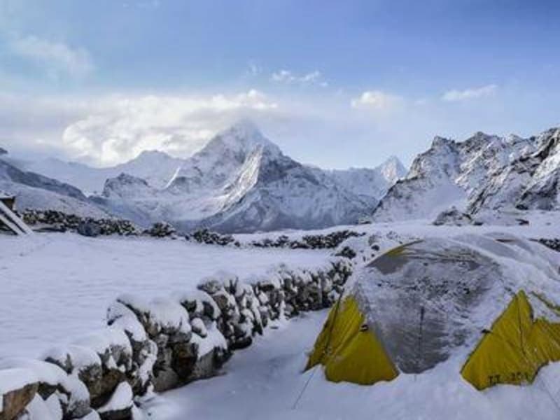 Gạo ST25 chính hãng