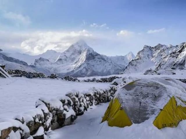 Gạo ST25 chính hãng